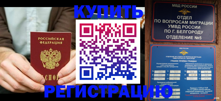 прописка 2025 в Белгородской области